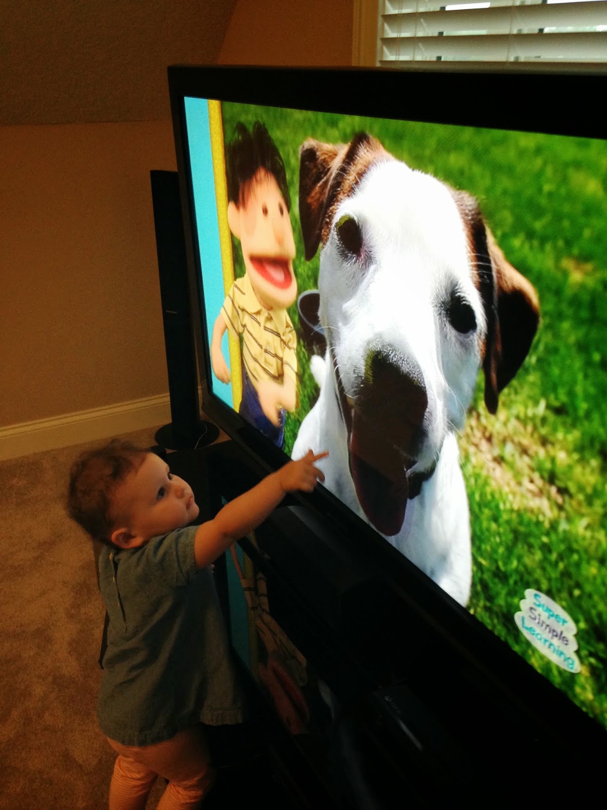 Let's Talk! with Whitneyslp: Super Simple Songs: Animals DVD {A Product