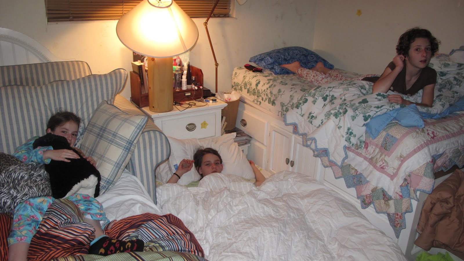 Lynne's somewhat invented life THE GREAT SLEEPOVER