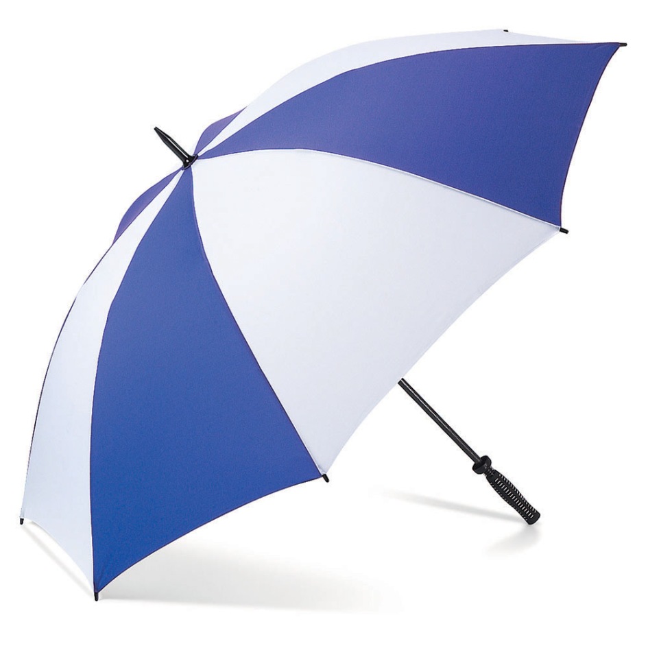 Business Gifts by Karam Advertising: Promotional Umbrellas and Car