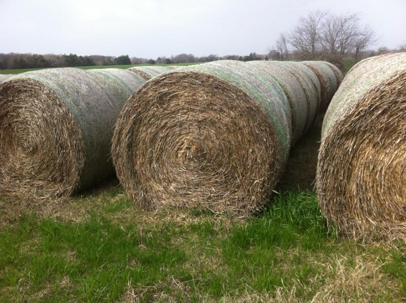 Cattlemen's Purchasing Group Crab Grass Hay 47