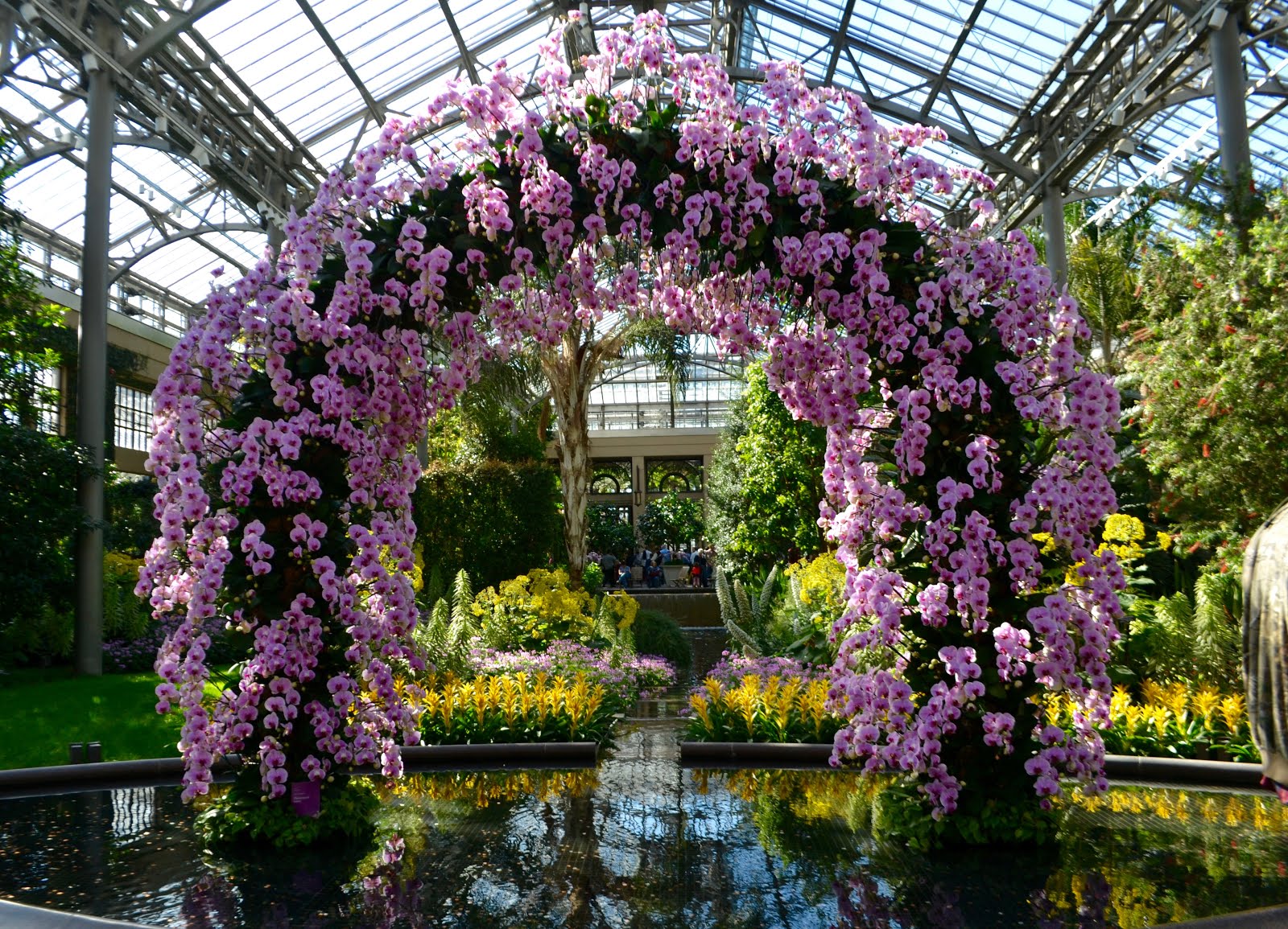 it 39 s all about purple longwood gardens 6 foot white christmas tree