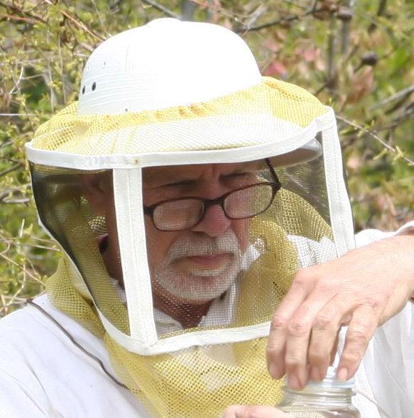 Jon Working Honey Bees