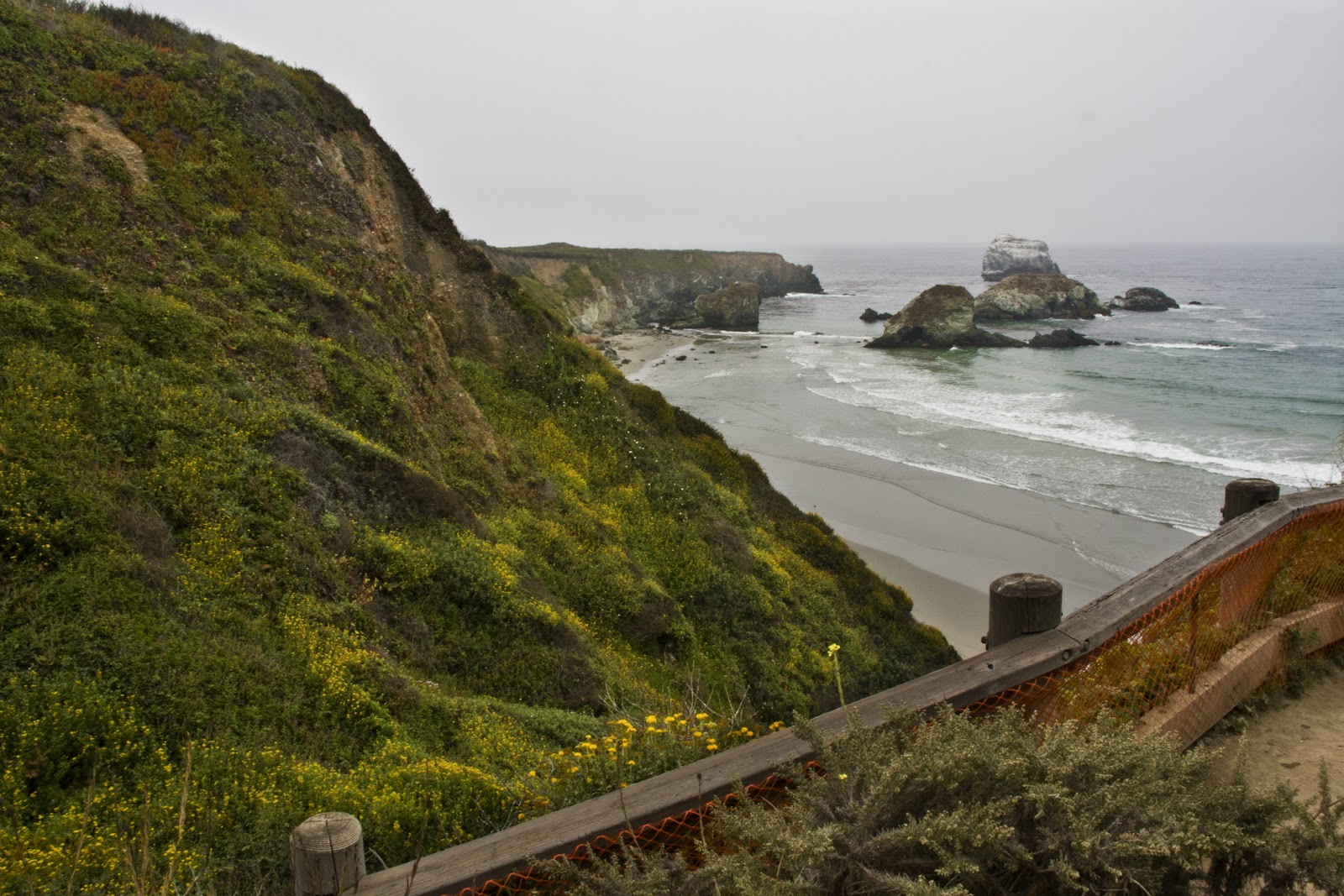 Offshore Winds Big Sur Surf on the California Coast
