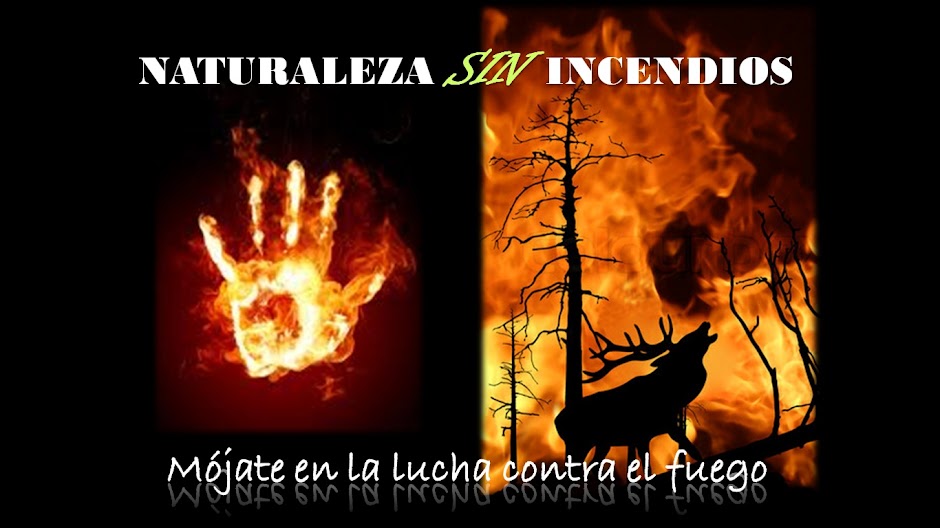 Naturaleza sin incendios