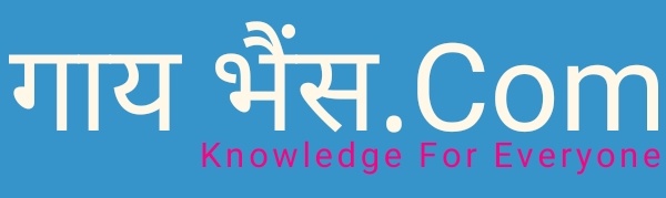 GayBhains.com - Knowledge For Everyone