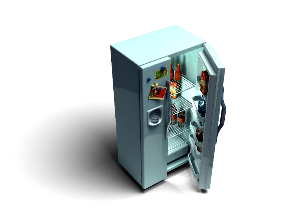 Nyseg Refrigerator Recycling Program