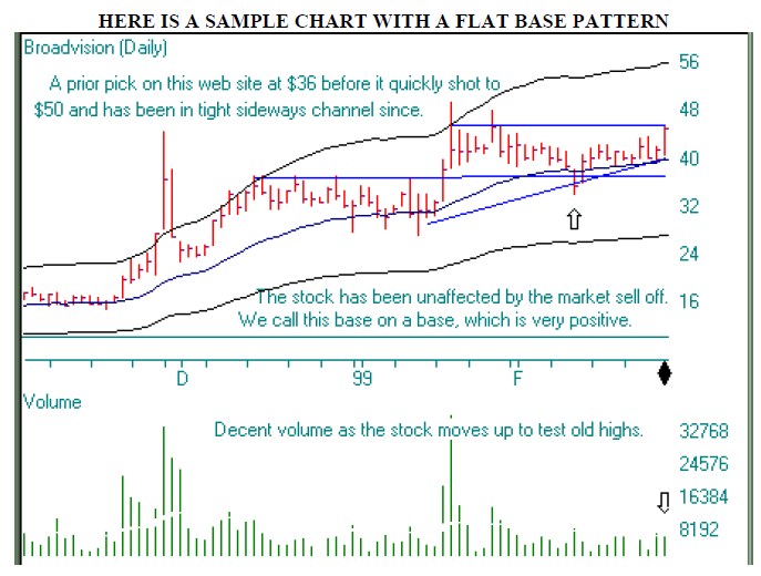 Wf forex