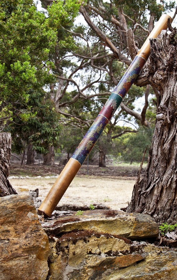 Didgeridoo, Vibrational Medicine and Sound Therapy X8 Drums