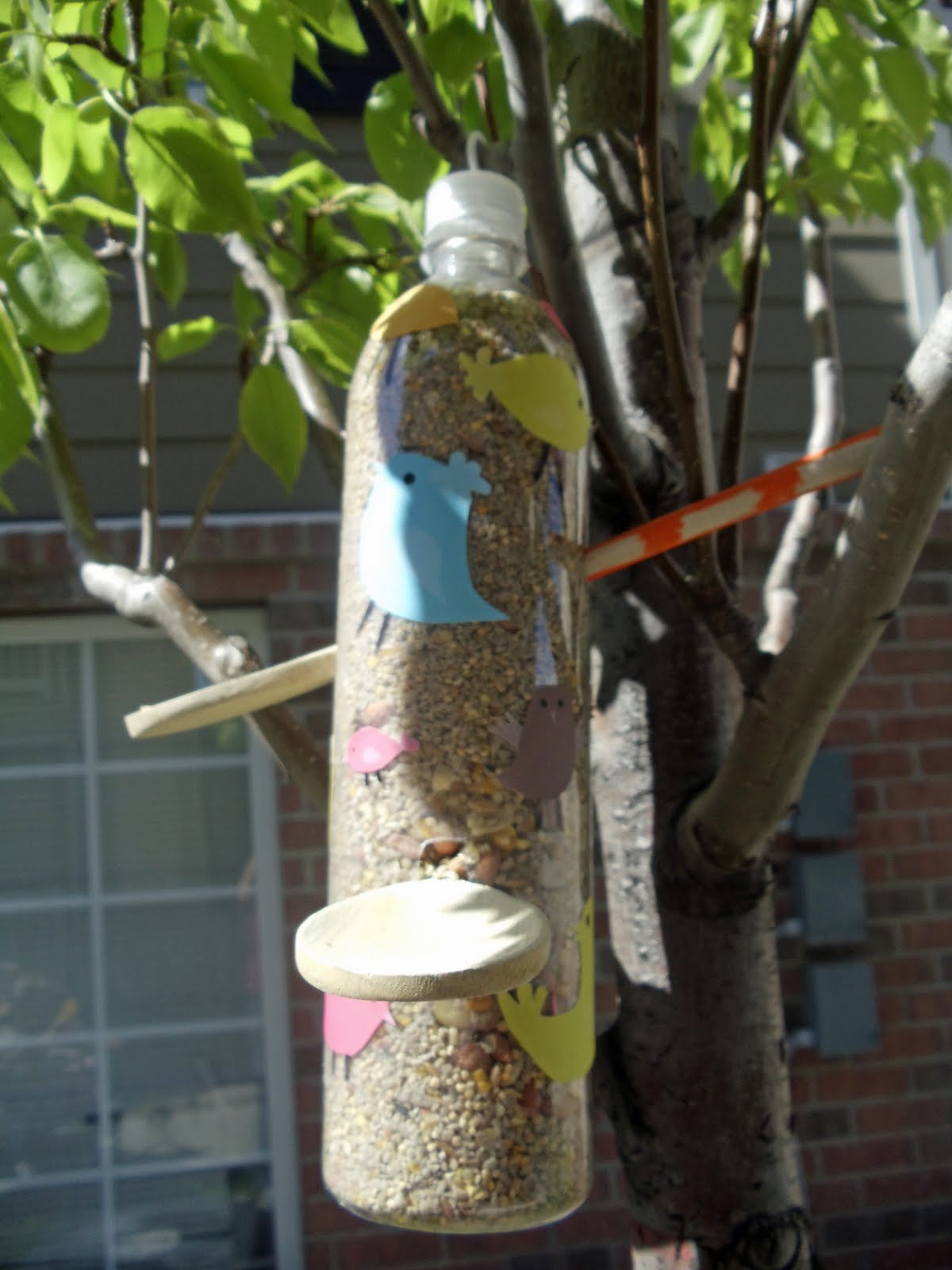 HECK FRIDAYS: Recycled Bird Feeder