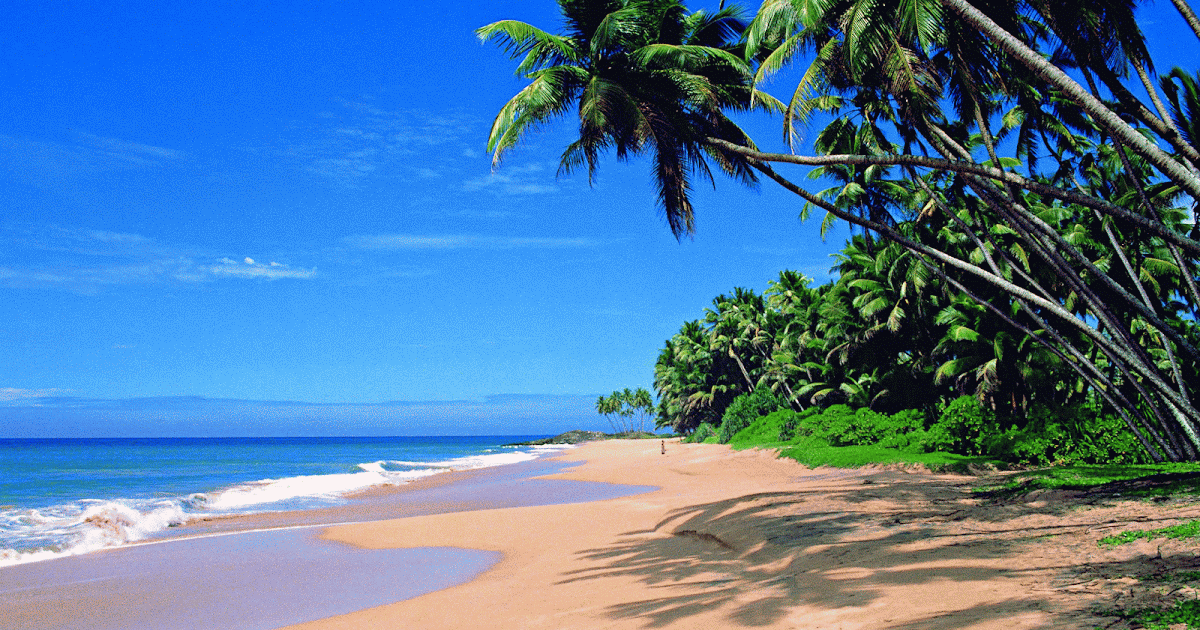 Hidden Gems in Jaipur An India Travel Guide Goa Retirement Beach Paradise