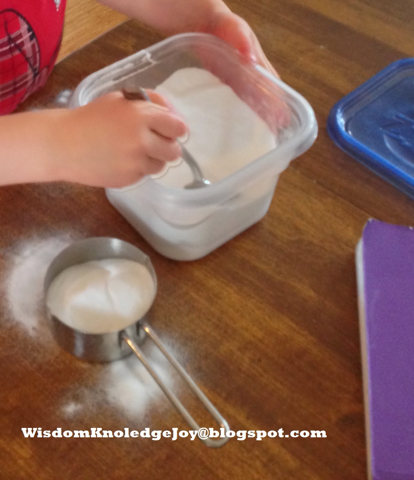 Wisdom. Knowledge .Joy Bottle Rocket Experiments