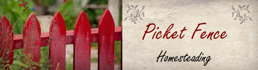 Picket Fence Homesteading