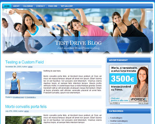 Wordpress themes Fitness One Download