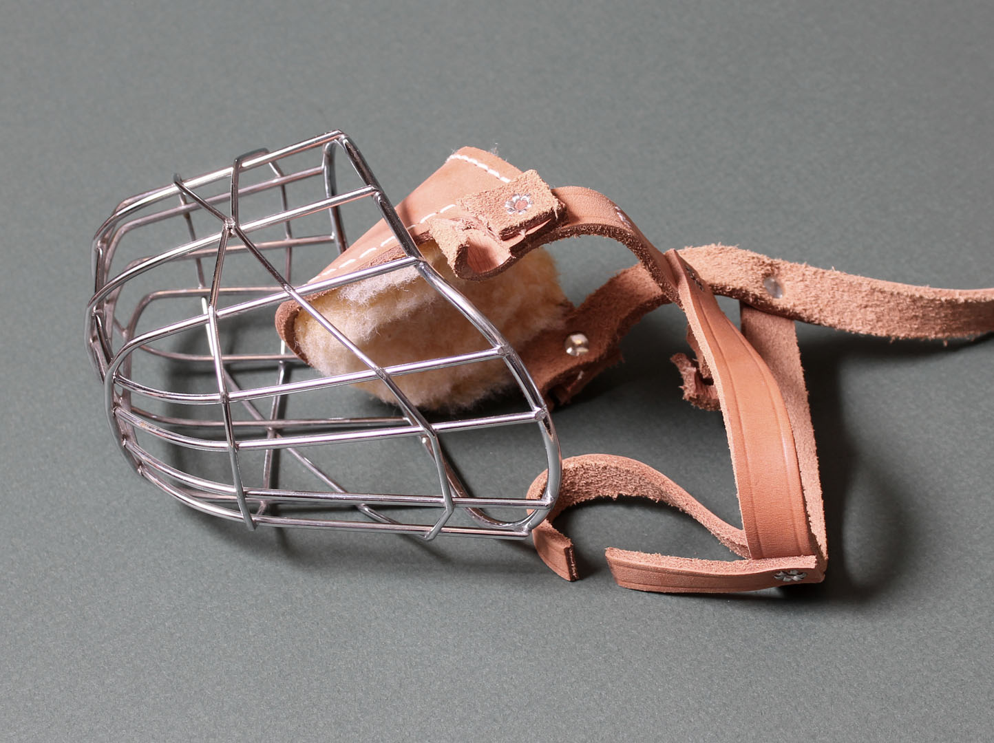 Petsmart muzzle haccure