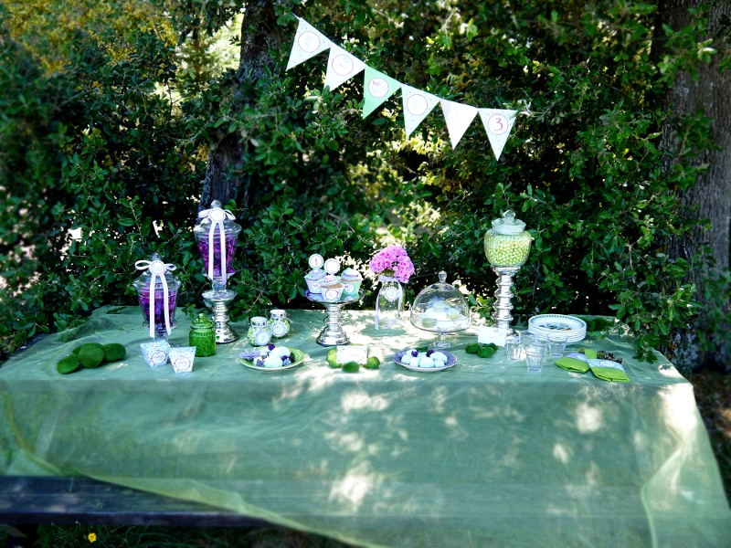 Garden Fairy Birthday Party Ideas