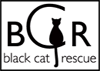 Black Cat Rescue