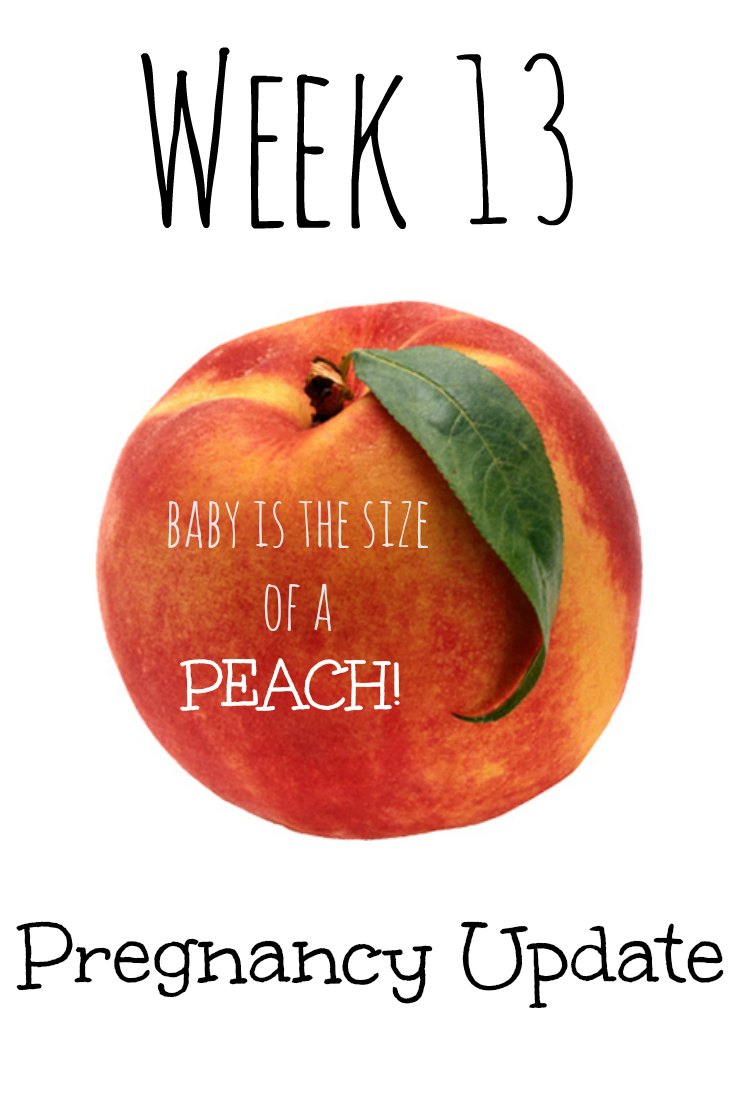 Lexi Michelle Blog Pregnancy Update 13 weeks!