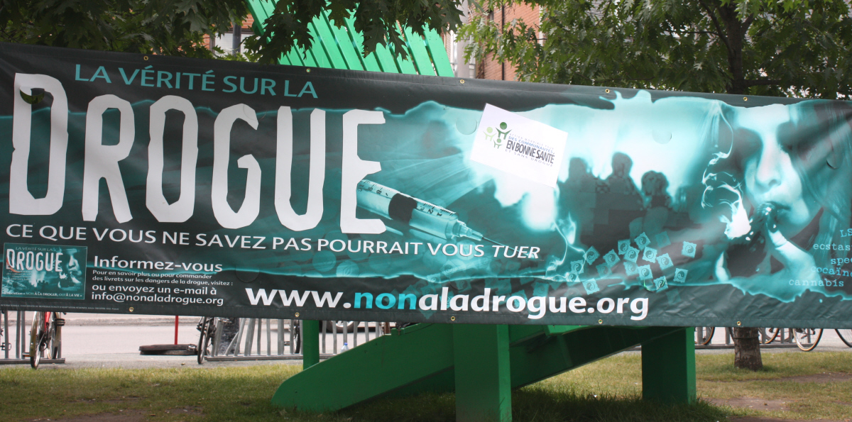 Drug Free Canada Drug Free World Canada Celebrates International