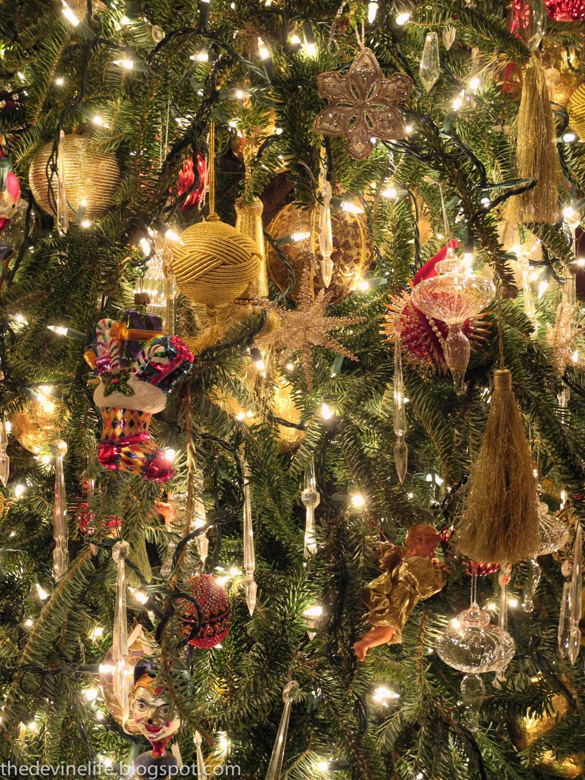 oh christmas tree the life mole valley christmas tree collection