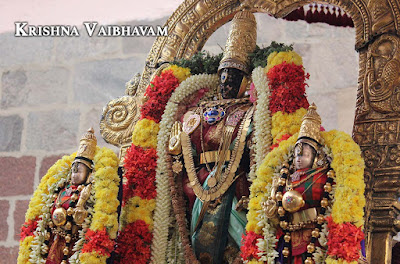 Sri Parthasarathy Perumal, Purattasi,Purappadu, Thiruvallikeni, Triplicane