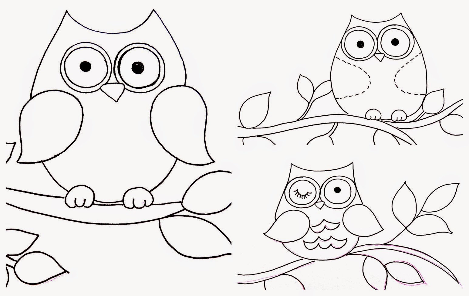 Coloring Pages Baby Owls Coloring Pages Baby Owls