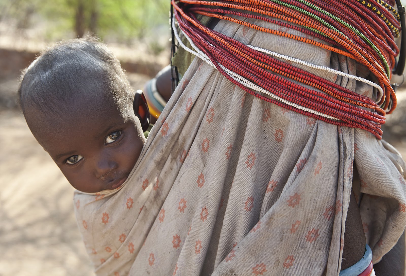 The Famine and What You Can Do To Help