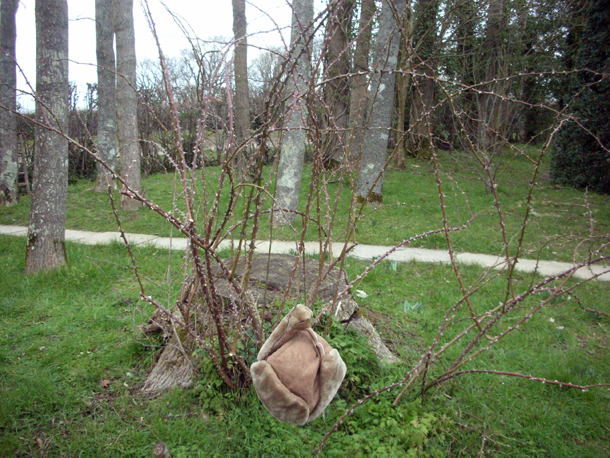Hill Shepherd Spirea
