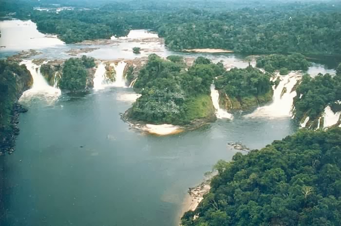 Congo - Factos sobre o Congo #2 Mokele Mbembe ou aquele que trava o curso  dos rios”, na linguagem Lingala, é um dos críptidos mais conhecidos  mundialmente. Descrições deste animal remontam a