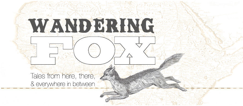 Wandering Fox