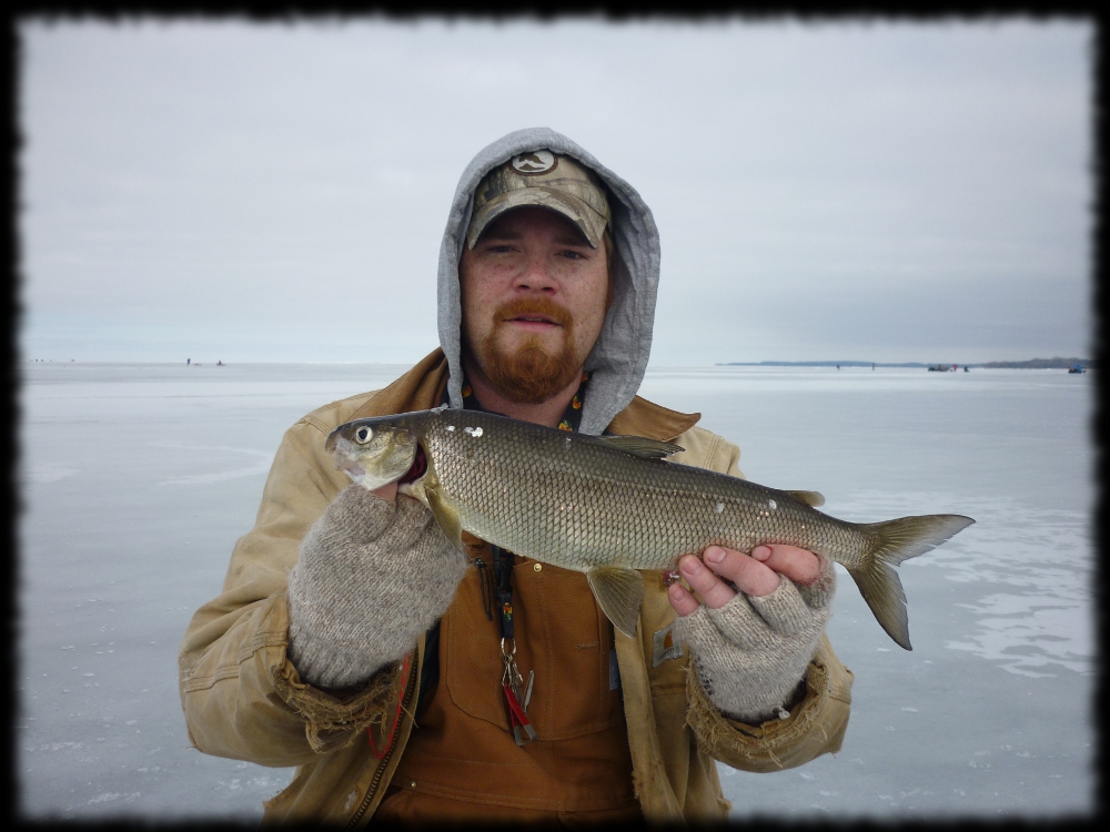 Illinois Wisconsin Fishing refined whitefish tactics