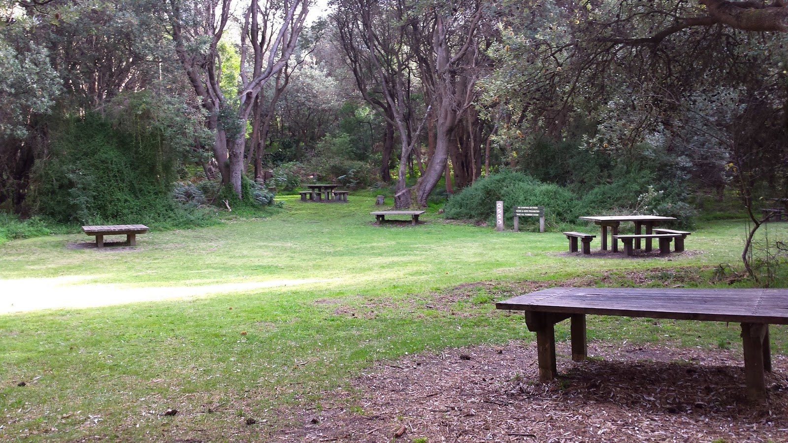 RDO Melbourne Bushranger's Bay Walk, Cape Schanck
