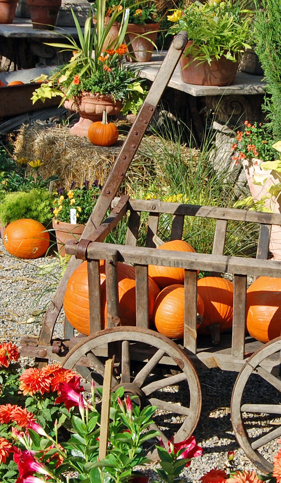 My Painted Garden: Fall Tour of Roger's Gardens