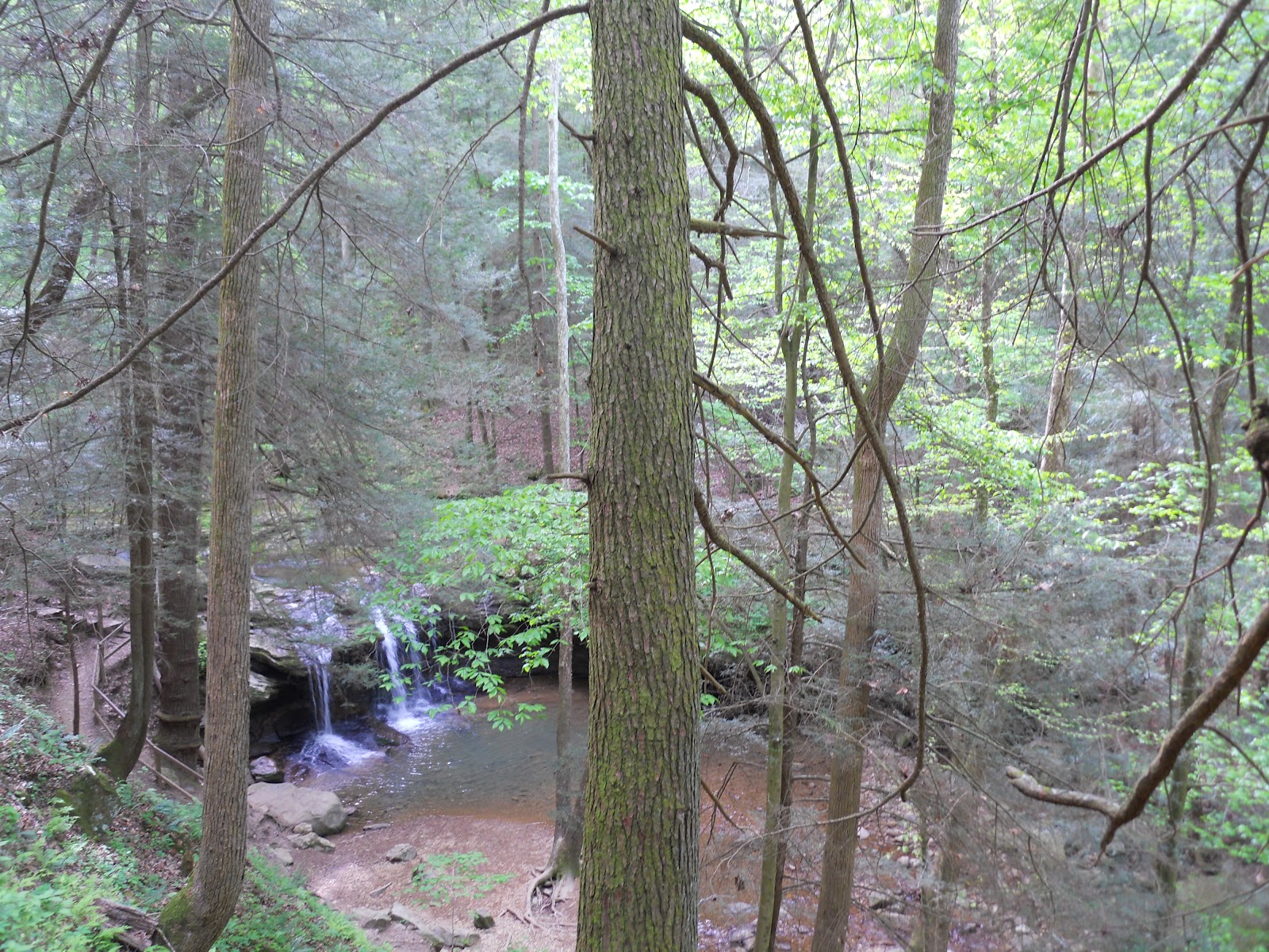 Go on the Cheap Guided Hike in Frozen Head State Park