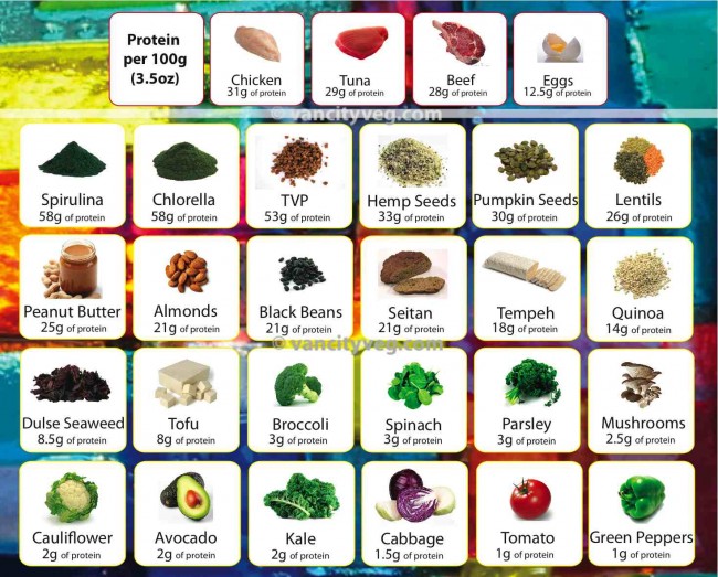 8 No Meat Protein Sources 8 No Meat Protein Sources