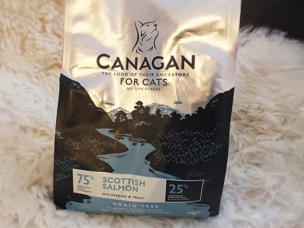 What Is The Best Cat Food Few Words On Litter Plus Toxic