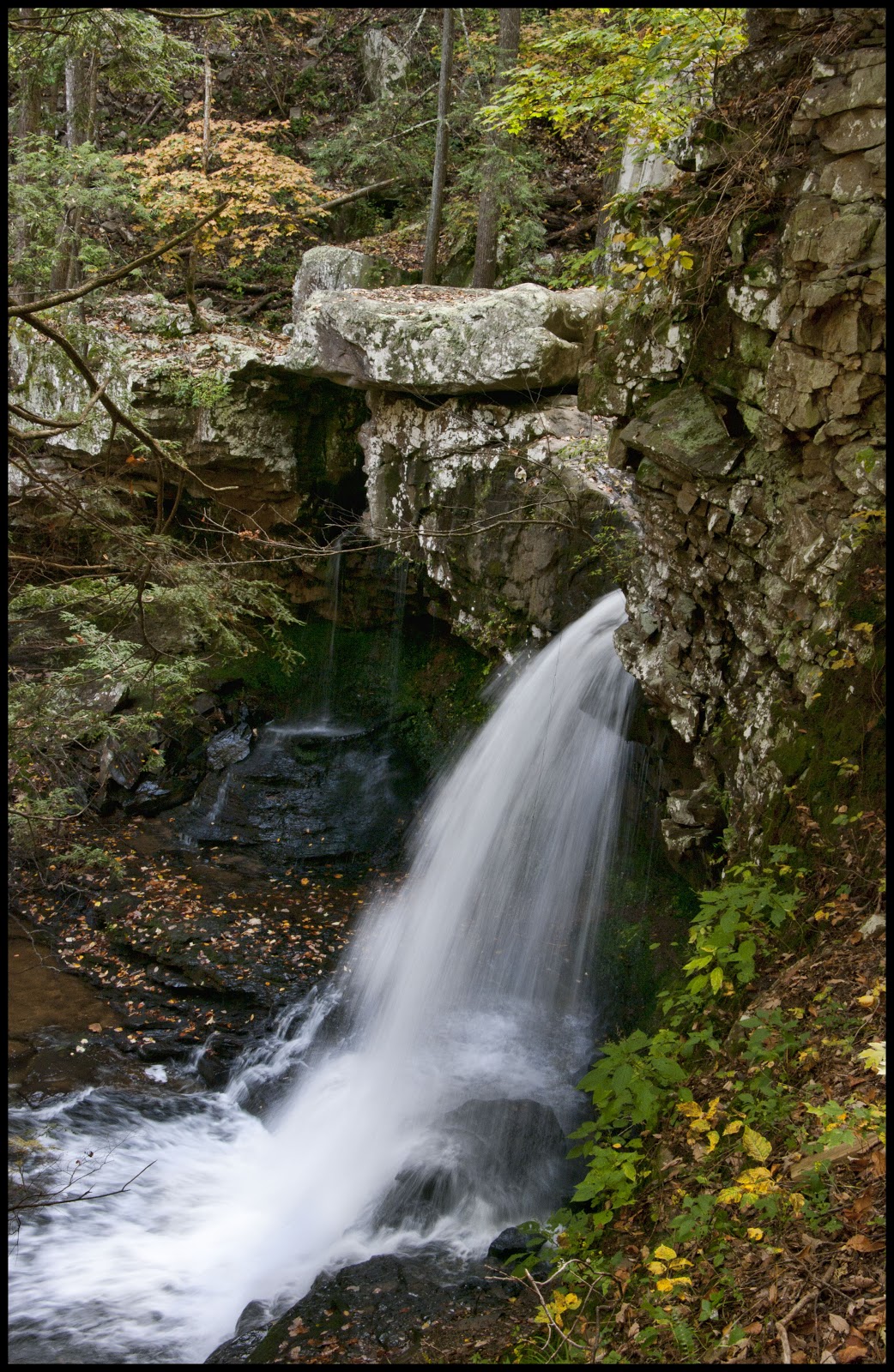 Cloudland Canyon - Silver Tongued Sisyphus Cloudland Canyon - Silver Tongued Sisyphus