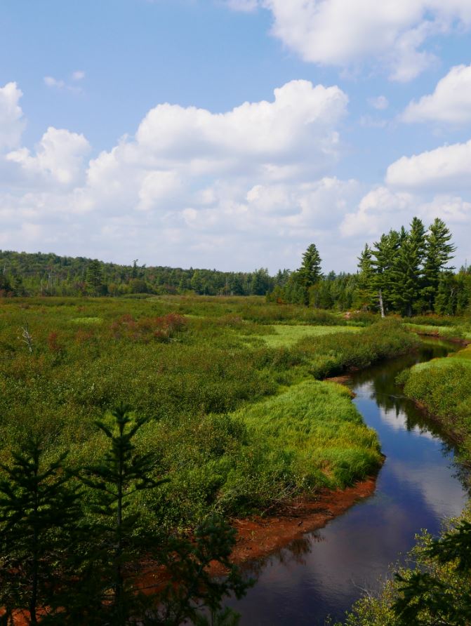 A Little Wild Five Ponds Wilderness The High Falls Loop