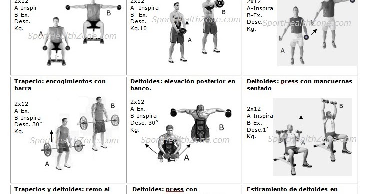 MASA MUSCULAR: TABLA DE EJERCICIOS MASA MUSCULAR: TABLA DE EJERCICIOS