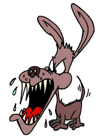 Dogs Cartoon Pictures