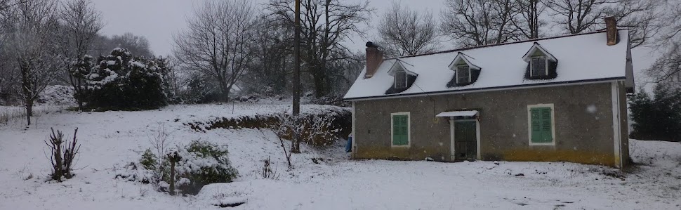 Bienvenue chez Georginette... la maison des mystères.