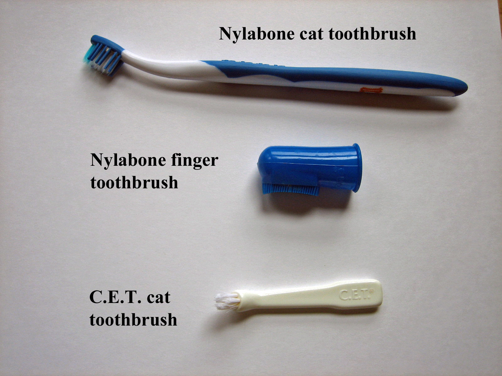 It's all about the cats! Tucker's toothbrushing routine