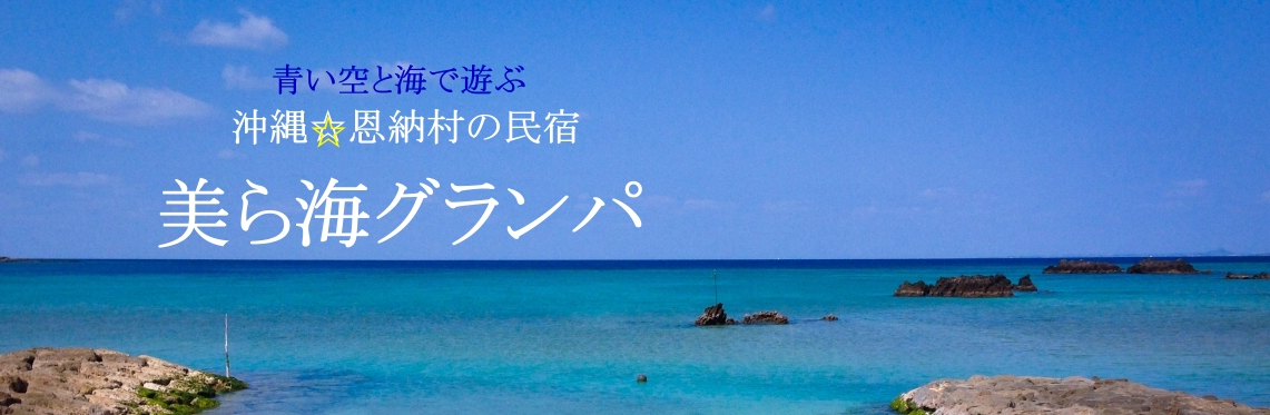 沖縄民宿★美ら海くん！グランパのブログ