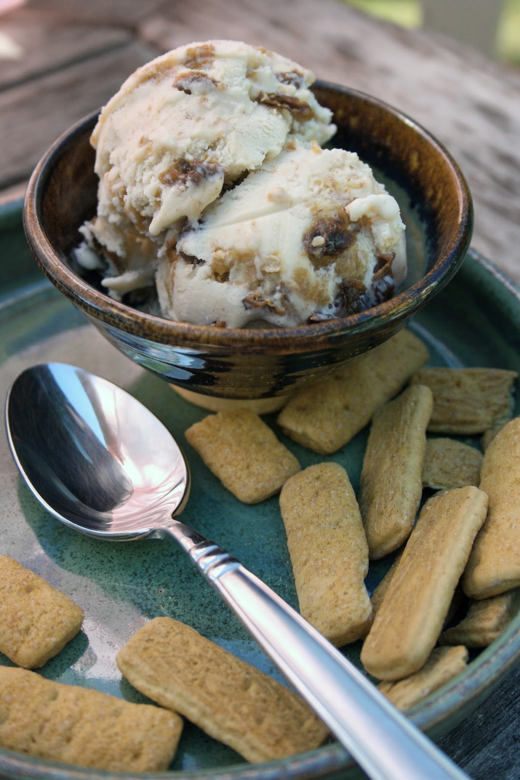 A Half Baked Life Being There A Blog(h)er Ice Cream Social (and Oatmeal Cookie Ice Cream)
