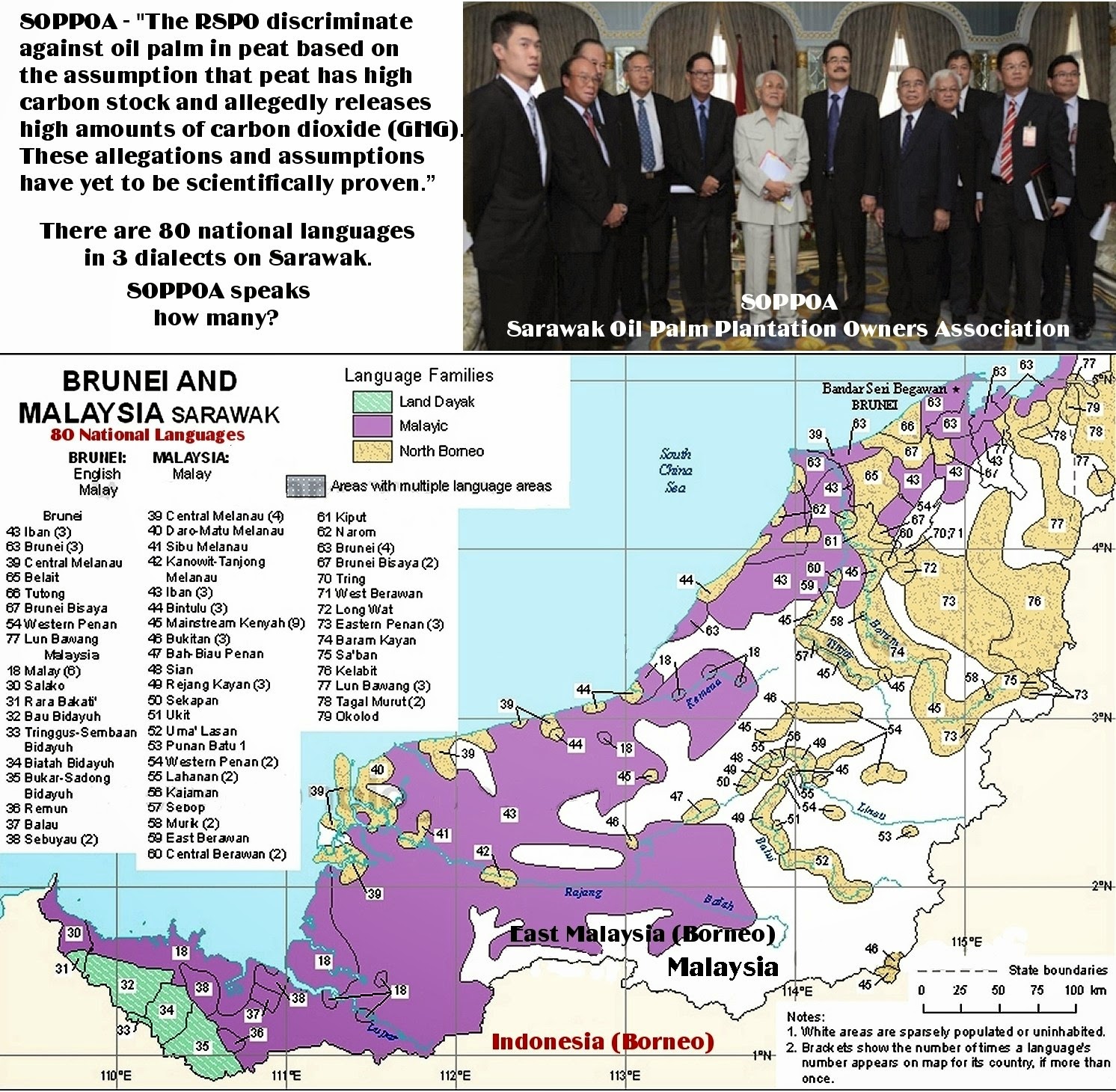 Steam Injection Is Literally Global Warming Sarawak Land Grab Laws And Palm Oil Fresh Fruit Bunches