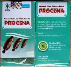 addawa procena ikan kutuk