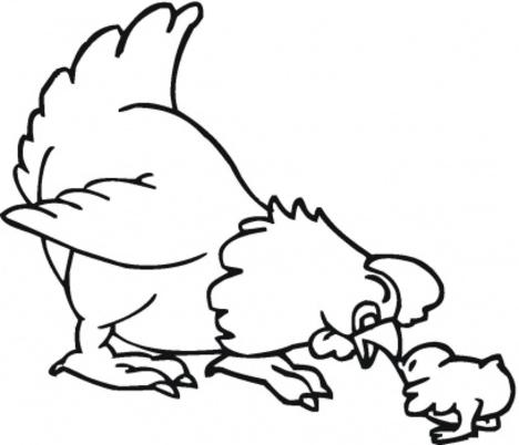 desenhos para pintar animais selvagens pata pintar animais
