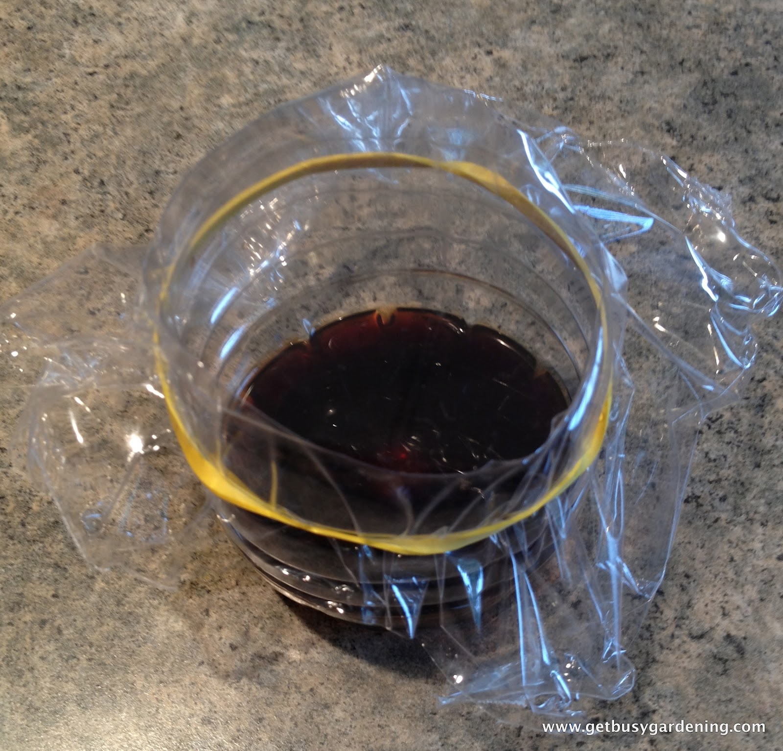 Super Easy DIY Fruit Fly Trap