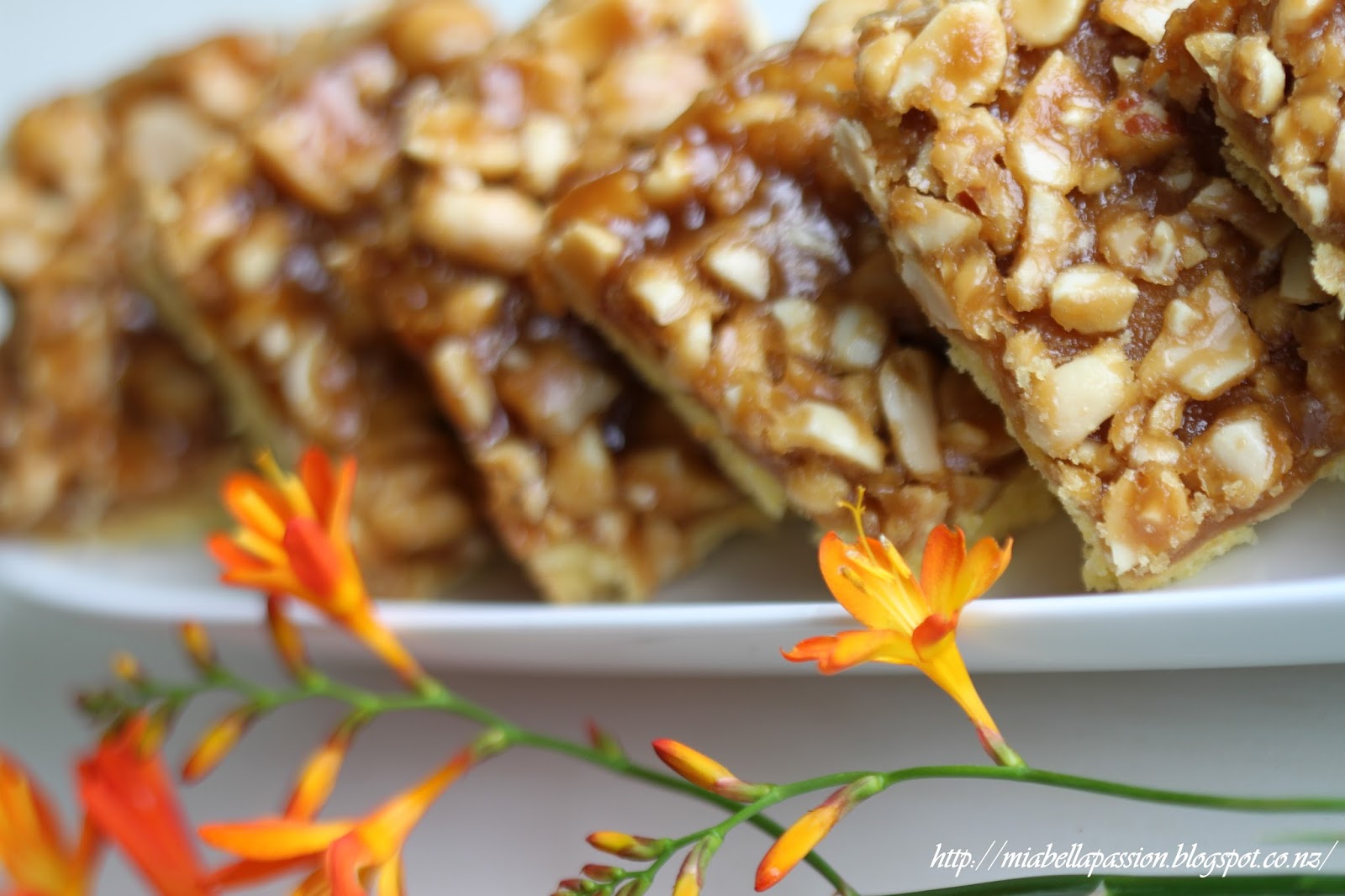 Mia Bella Passions Salted Caramel Peanut Squares...