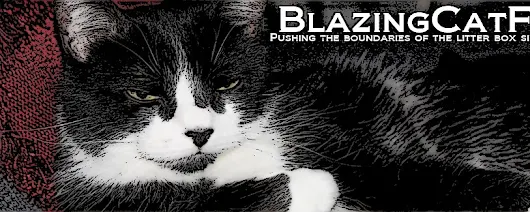 Blazing Cat Fur: Bret Stephens: Obama doesn’t know much