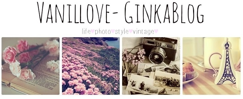 Vanillove-GinkaBlog